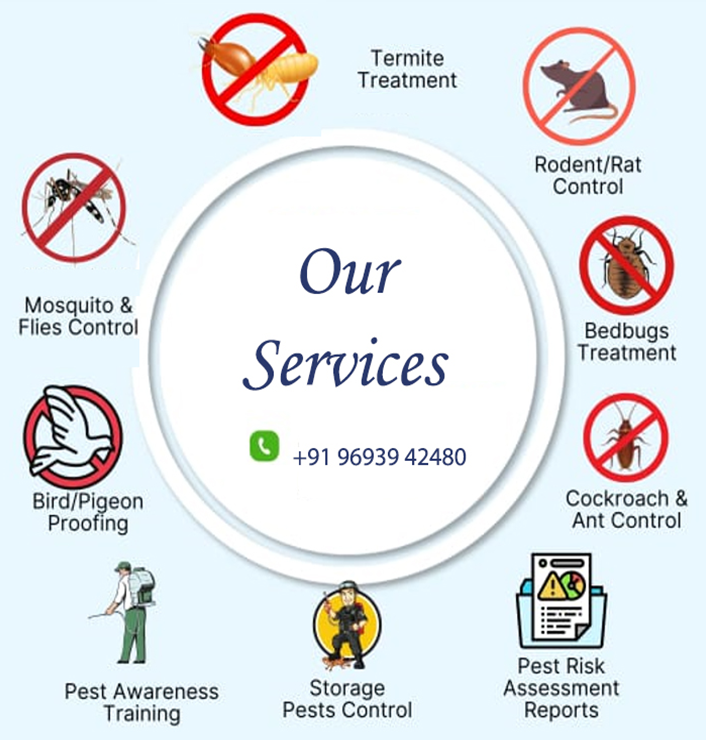 DDHC Services