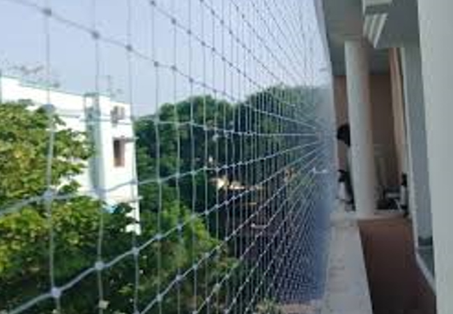 Pigeon Netting Services